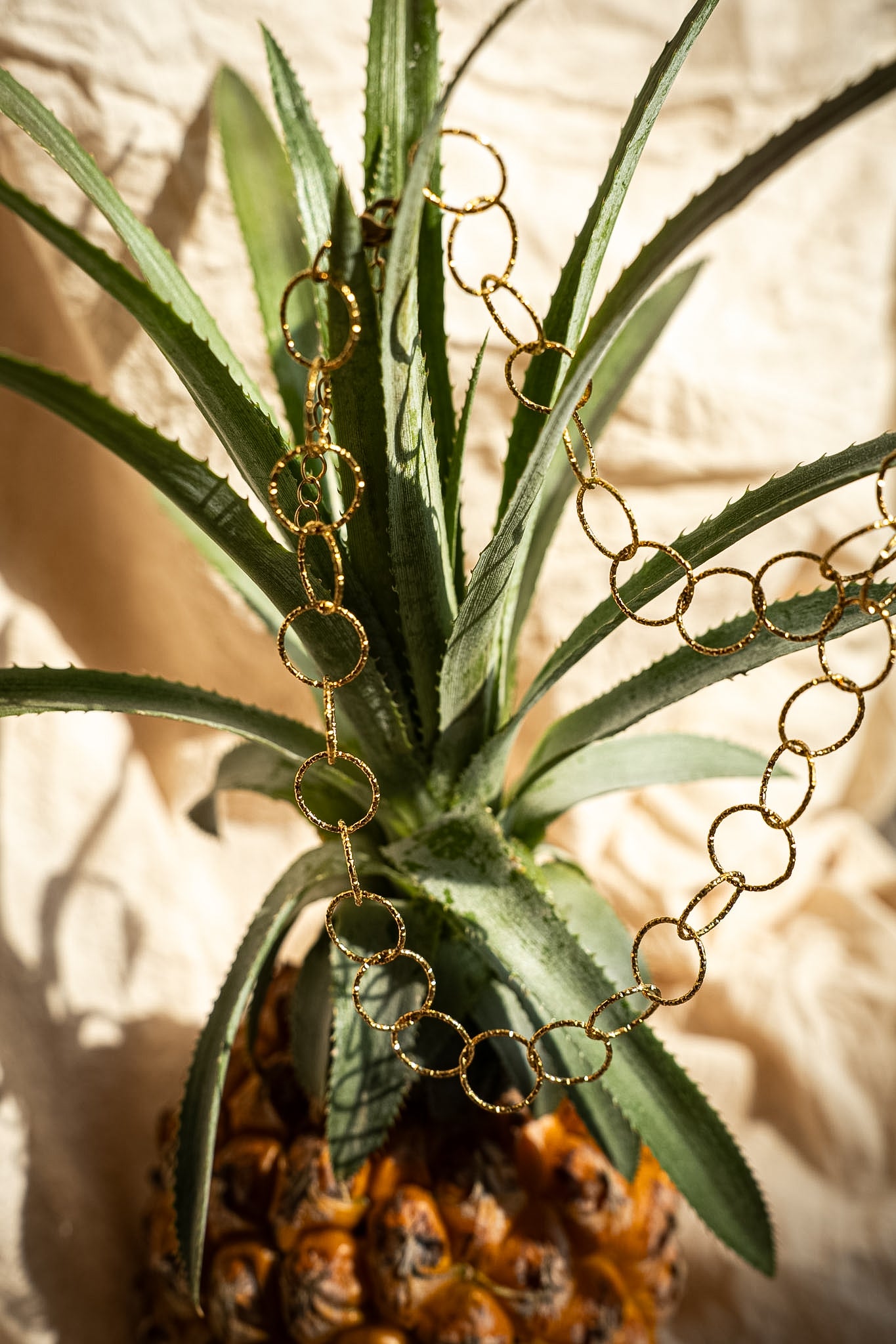 Circulo Necklace